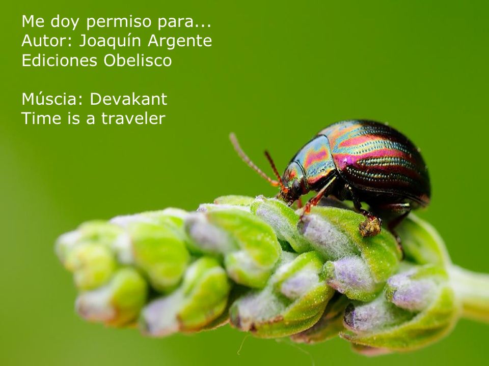 Me doy permiso para... Autor: Joaquín Argente Ediciones Obelisco Múscia: Devakant Time is a traveler