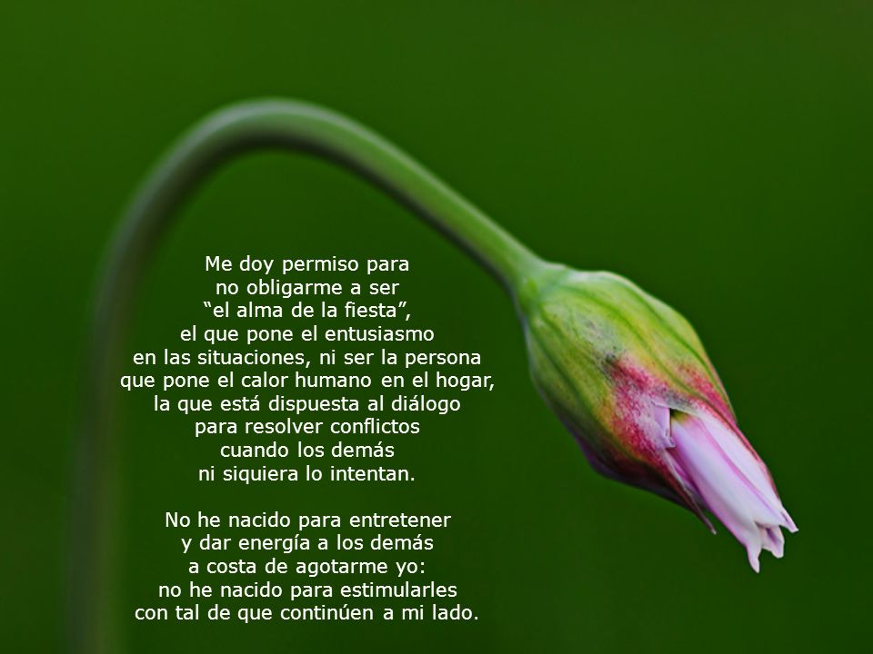 el que pone el entusiasmo en las situaciones, ni ser la persona