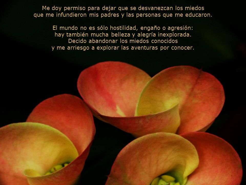 Me doy permiso para dejar que se desvanezcan los miedos que me infundieron mis padres y las personas que me educaron.