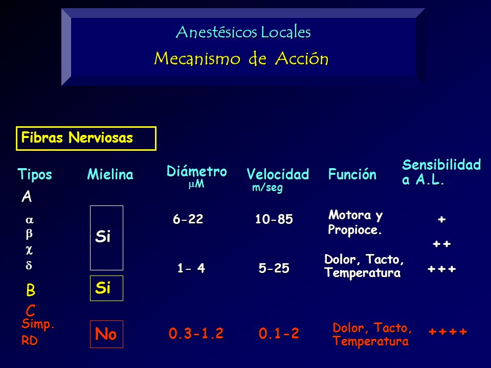 Mecanismo de Acción Anestésicos Locales A + Si Si B C No ++++