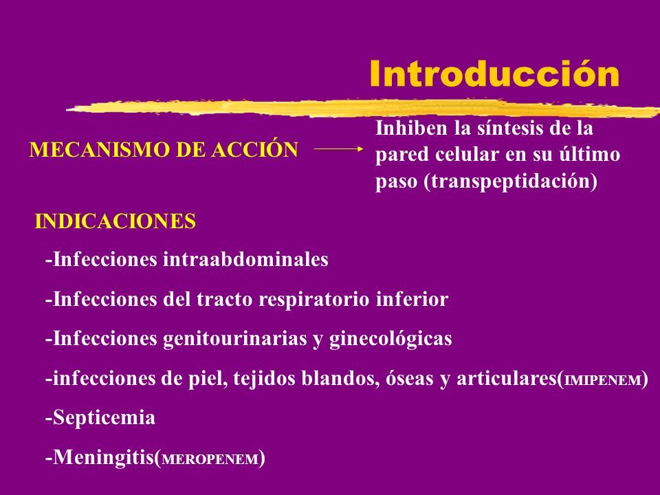 Introducción Inhiben la síntesis de la pared celular en su último paso (transpeptidación) MECANISMO DE ACCIÓN.