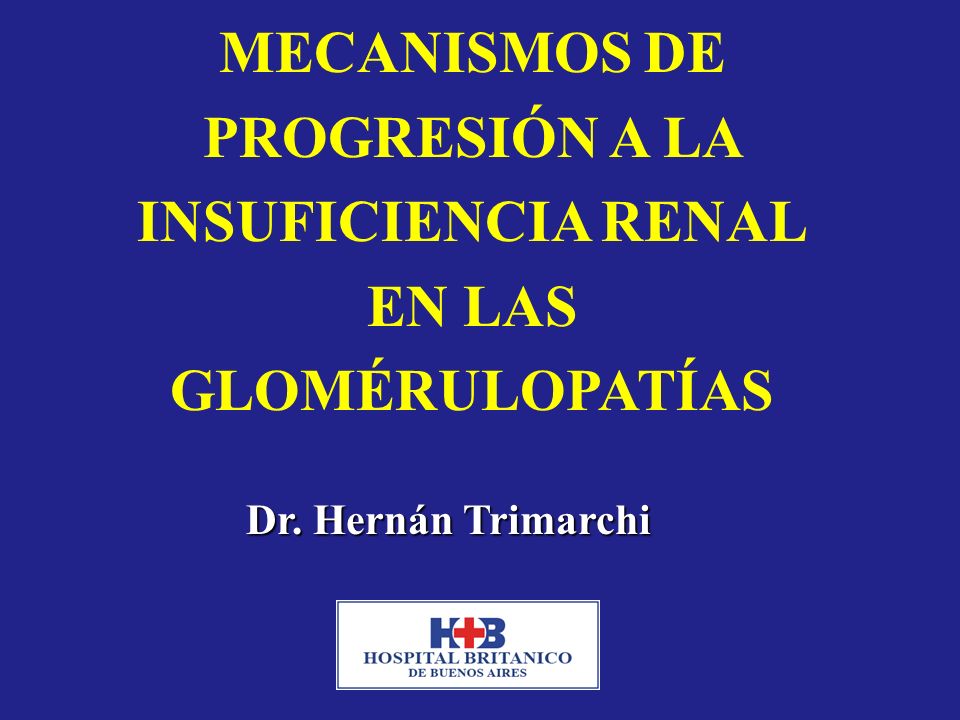 MECANISMOS DE PROGRESIÓN A LA INSUFICIENCIA RENAL EN LAS GLOMÉRULOPATÍAS