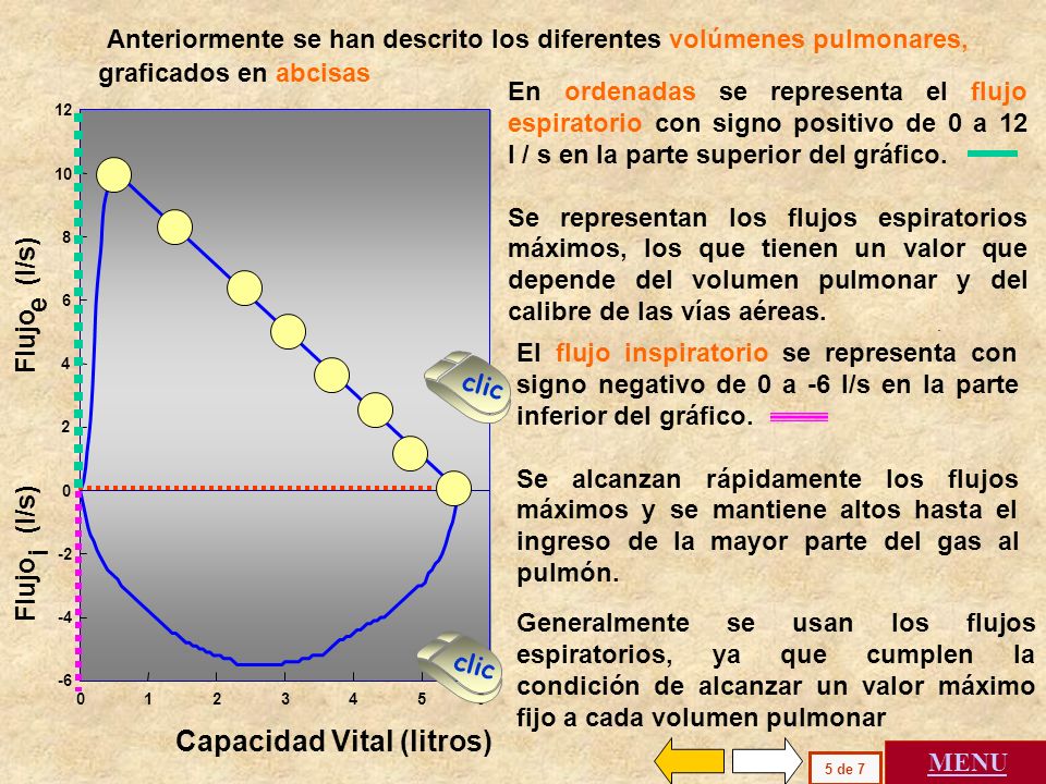 Anteriormente se han descrito los diferentes volúmenes pulmonares, graficados en abcisas