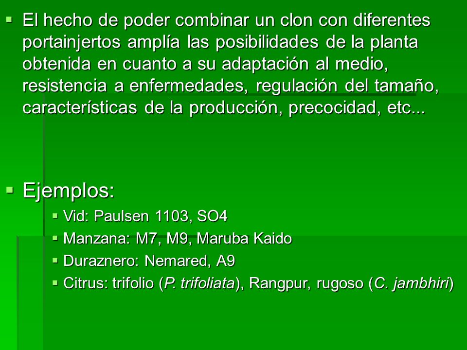 El hecho de poder combinar un clon con diferentes portainjertos amplía las posibilidades de la planta obtenida en cuanto a su adaptación al medio, resistencia a enfermedades, regulación del tamaño, características de la producción, precocidad, etc...
