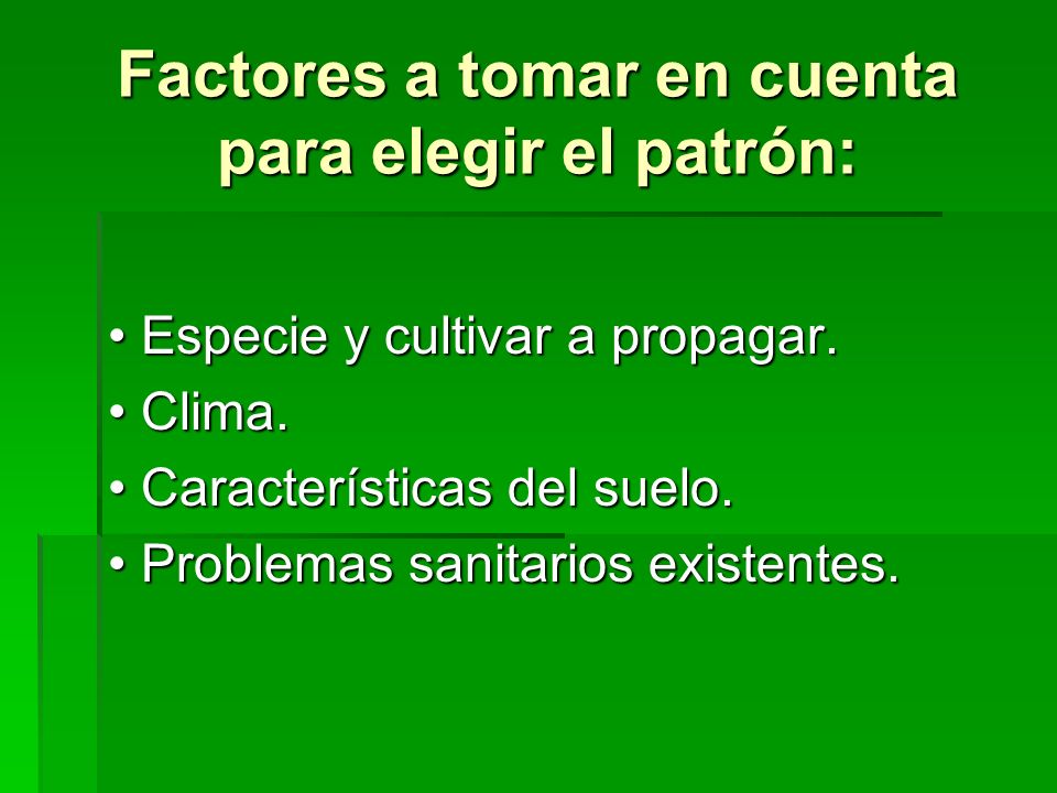 Factores a tomar en cuenta para elegir el patrón: