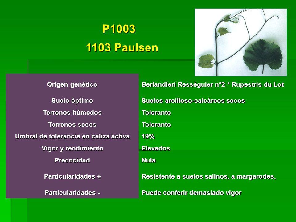 Umbral de tolerancia en caliza activa