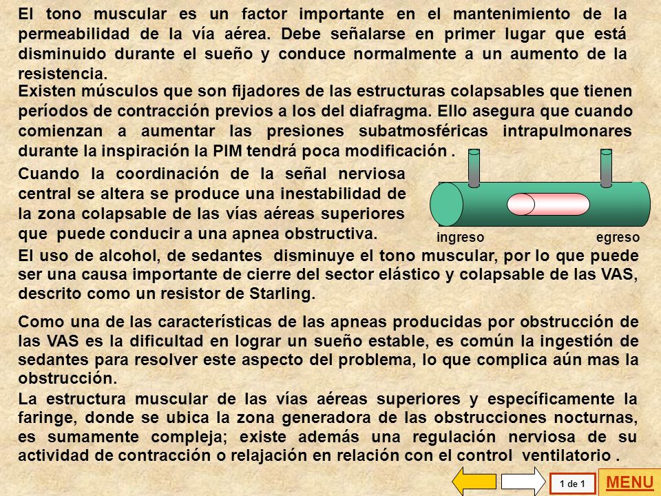 El tono muscular es un factor importante en el mantenimiento de la permeabilidad de la vía aérea. Debe señalarse en primer lugar que está disminuido durante el sueño y conduce normalmente a un aumento de la resistencia.