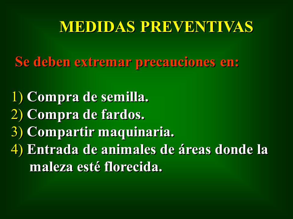 MEDIDAS PREVENTIVAS 1) Compra de semilla. 2) Compra de fardos.