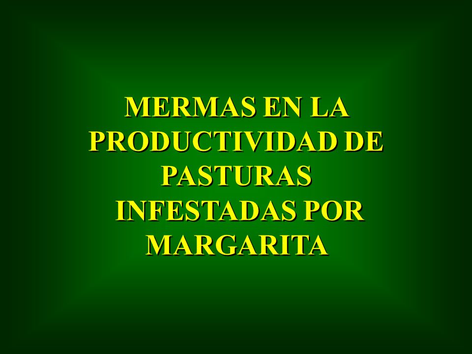 MERMAS EN LA PRODUCTIVIDAD DE PASTURAS INFESTADAS POR MARGARITA