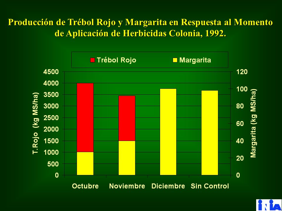 Producción de Trébol Rojo y Margarita en Respuesta al Momento de Aplicación de Herbicidas Colonia, 1992.