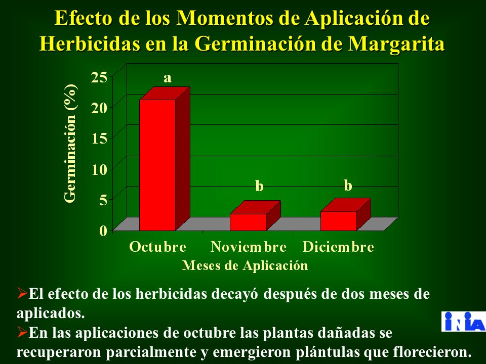 Efecto de los Momentos de Aplicación de Herbicidas en la Germinación de Margarita