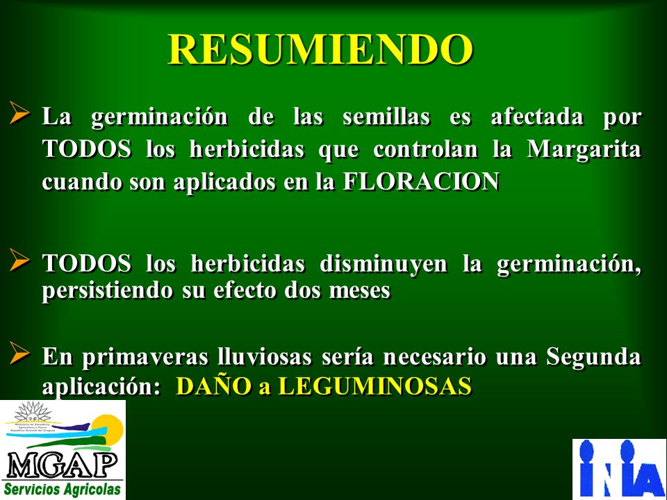 RESUMIENDO La germinación de las semillas es afectada por TODOS los herbicidas que controlan la Margarita cuando son aplicados en la FLORACION.
