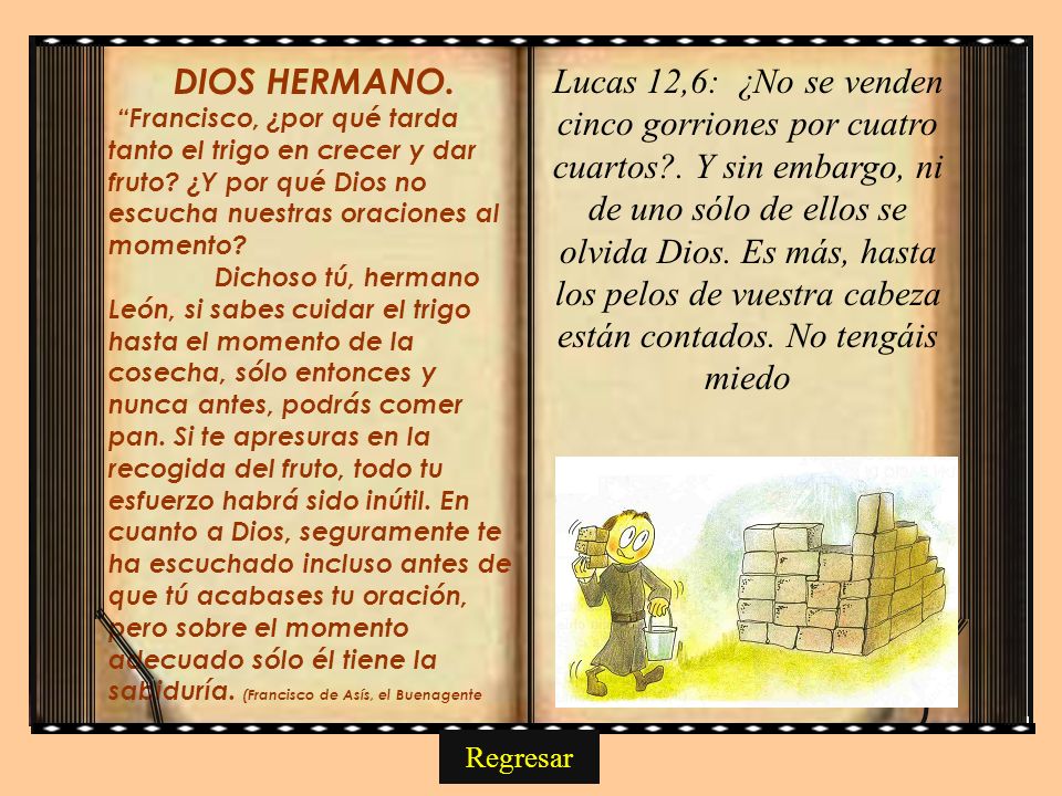 DIOS HERMANO. Francisco, ¿por qué tarda tanto el trigo en crecer y dar fruto ¿Y por qué Dios no escucha nuestras oraciones al momento