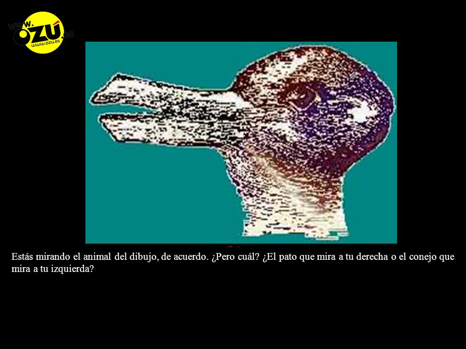 Estás mirando el animal del dibujo, de acuerdo. ¿Pero cuál
