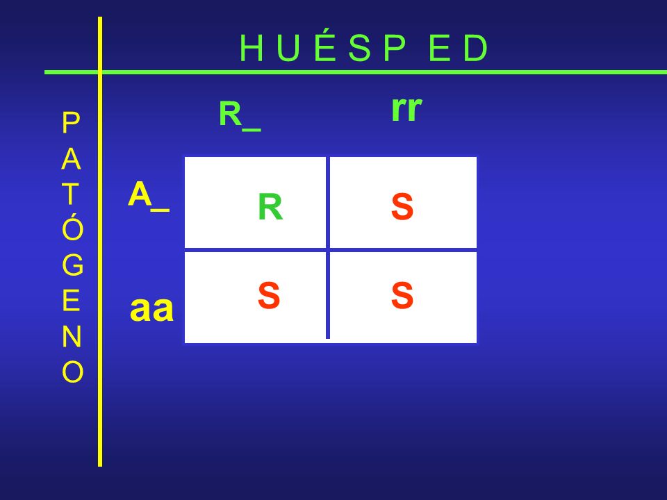 H U É S P E D rr R_ P A T Ó G E N O R S S S A_ aa