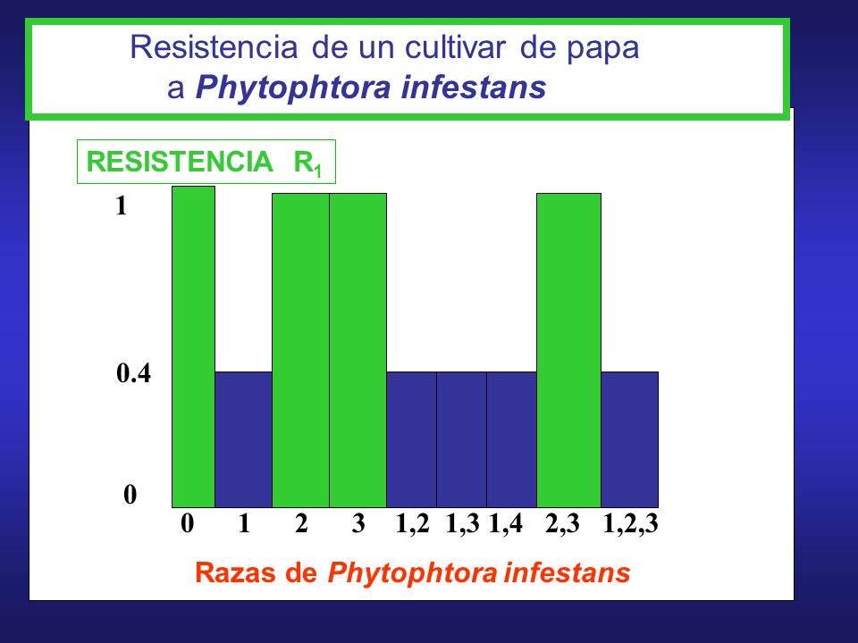Resistencia de un cultivar de papa a Phytophtora infestans