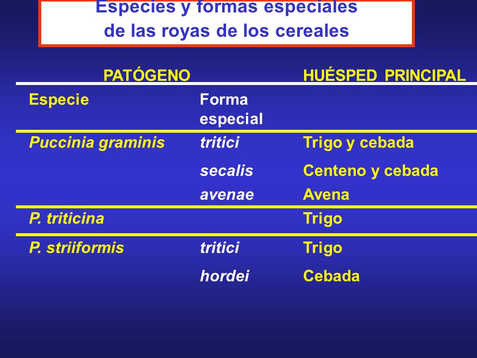 Especies y formas especiales de las royas de los cereales
