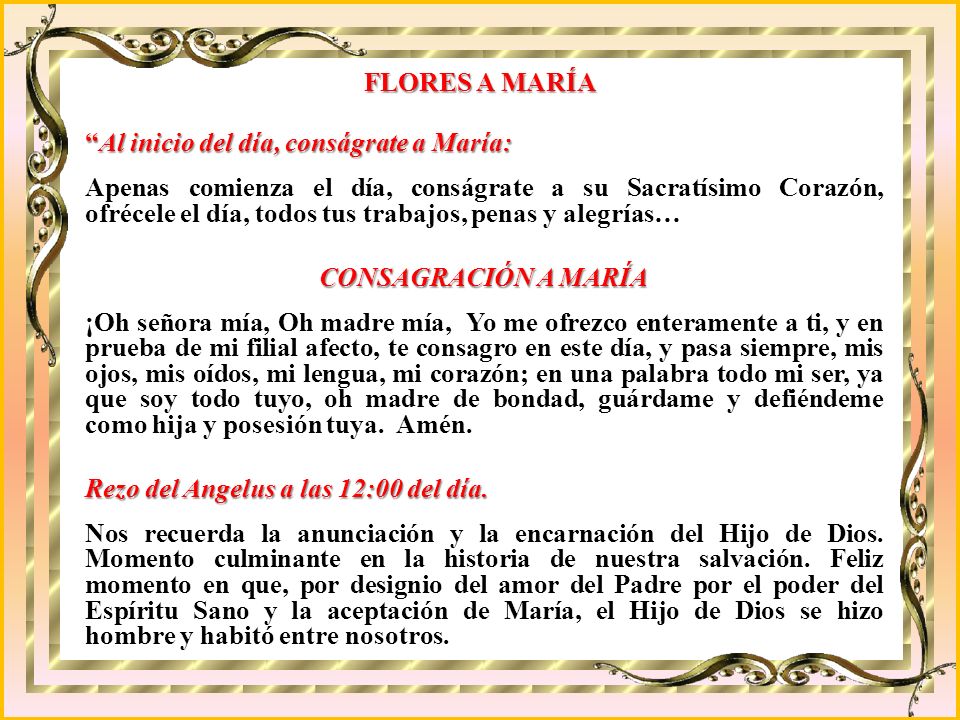 FLORES A MARÍA Al inicio del día, conságrate a María: