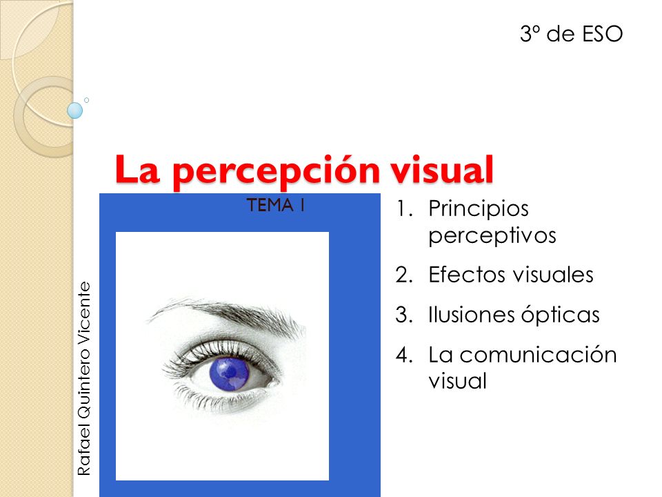 La percepción visual 3º de ESO Principios perceptivos Efectos visuales