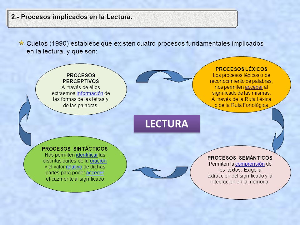 A través de la Ruta Léxica o de la Ruta Fonológica