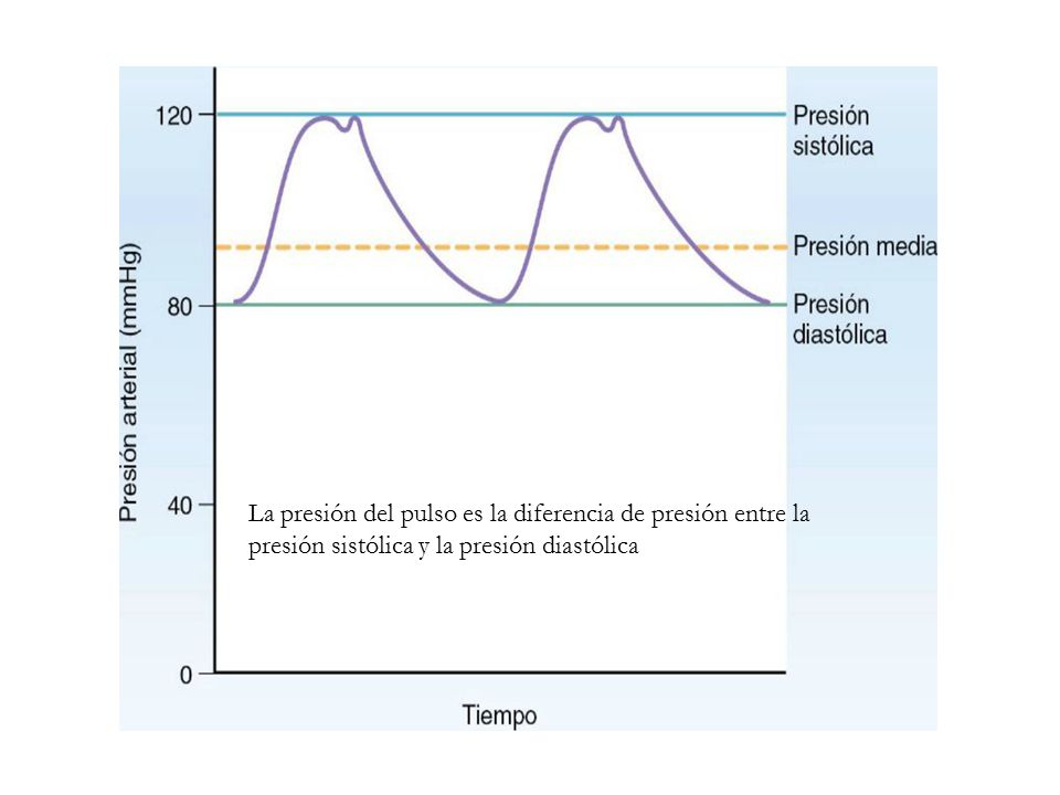 La presión del pulso es la diferencia de presión entre la presión sistólica y la presión diastólica