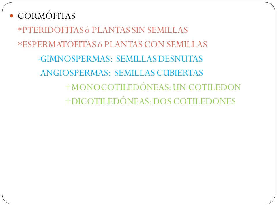 CORMÓFITAS *PTERIDOFITAS ó PLANTAS SIN SEMILLAS. *ESPERMATOFITAS ó PLANTAS CON SEMILLAS. -GIMNOSPERMAS: SEMILLAS DESNUTAS.