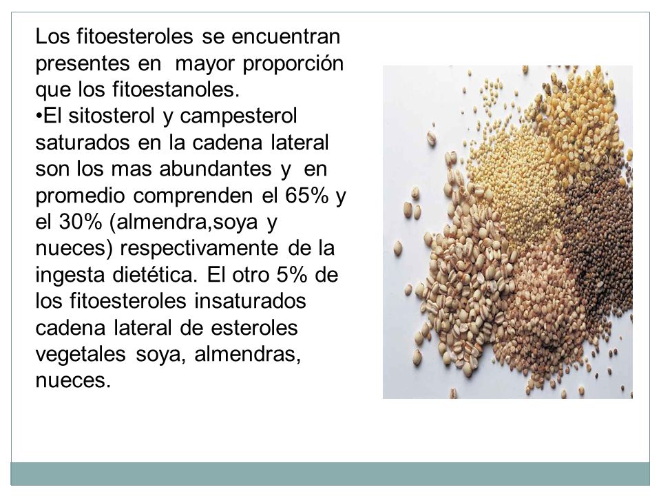 Los fitoesteroles se encuentran presentes en mayor proporción que los fitoestanoles.