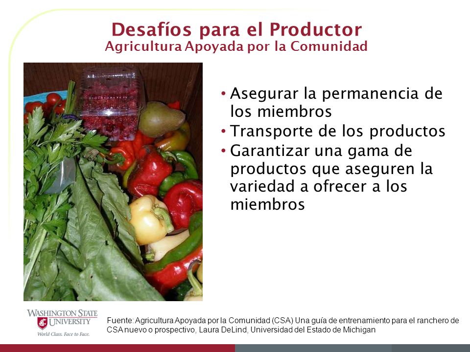 Desafíos para el Productor Agricultura Apoyada por la Comunidad
