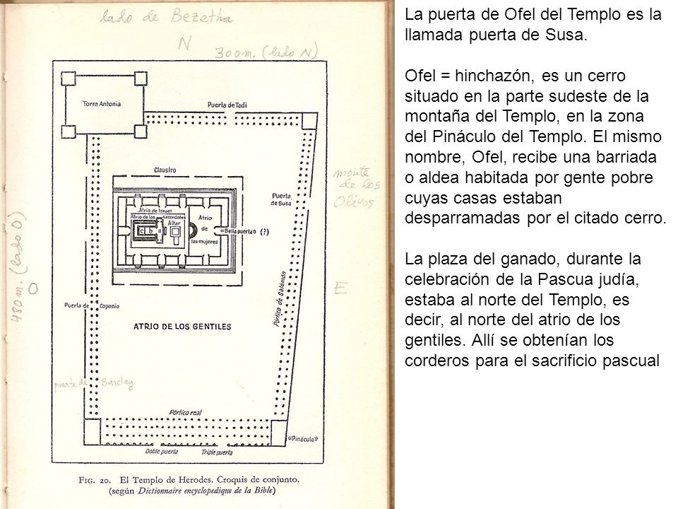 La puerta de Ofel del Templo es la llamada puerta de Susa.
