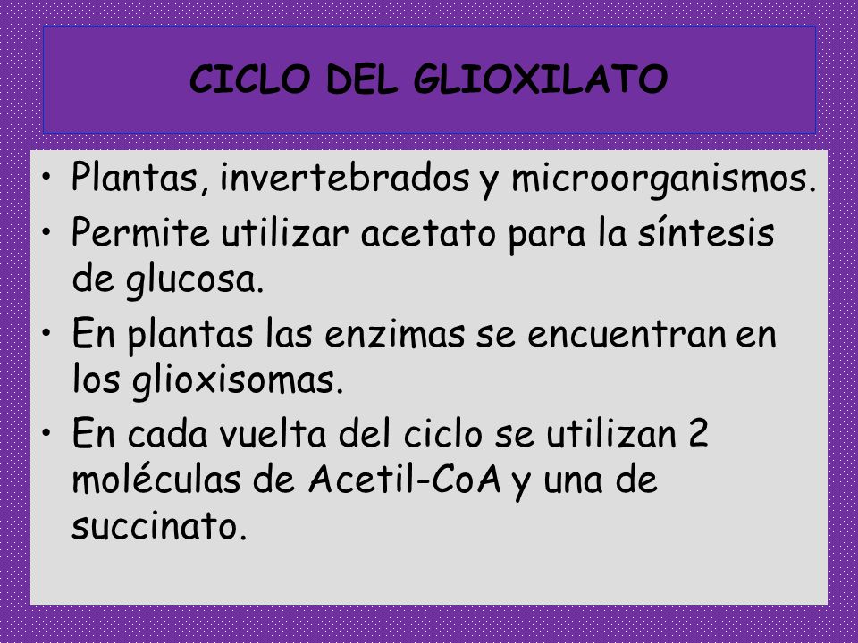 CICLO DEL GLIOXILATO Plantas, invertebrados y microorganismos. Permite utilizar acetato para la síntesis de glucosa.