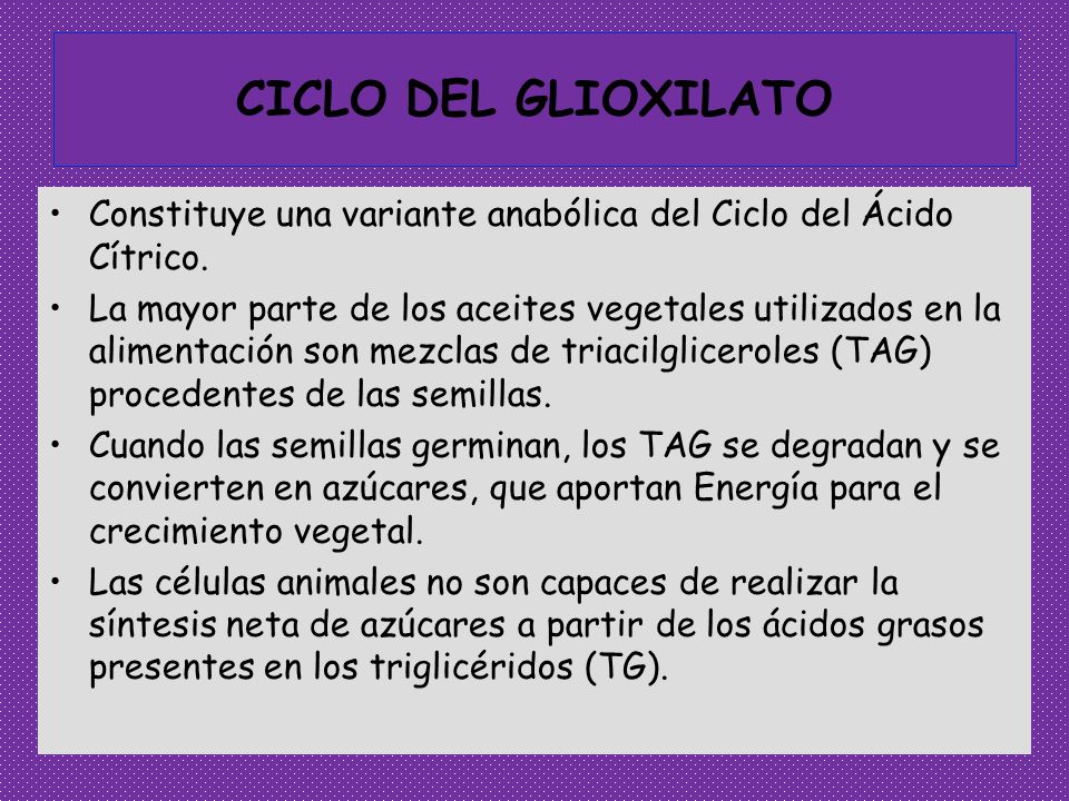 CICLO DEL GLIOXILATO Constituye una variante anabólica del Ciclo del Ácido Cítrico.