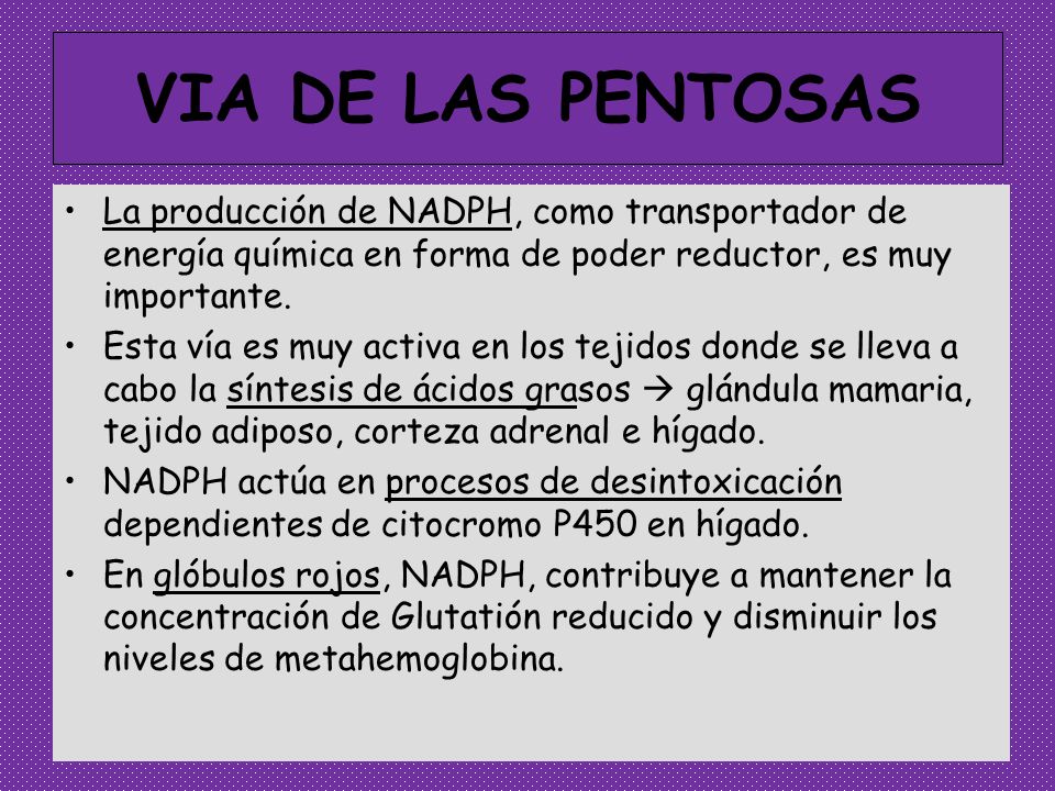 VIA DE LAS PENTOSAS La producción de NADPH, como transportador de energía química en forma de poder reductor, es muy importante.