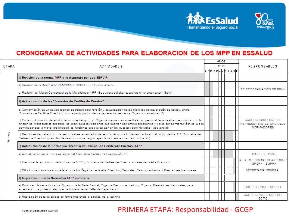 CRONOGRAMA DE ACTIVIDADES PARA ELABORACION DE LOS MPP EN ESSALUD