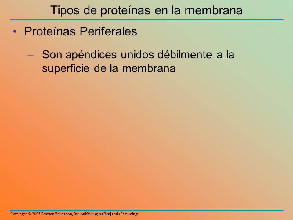 Tipos de proteínas en la membrana