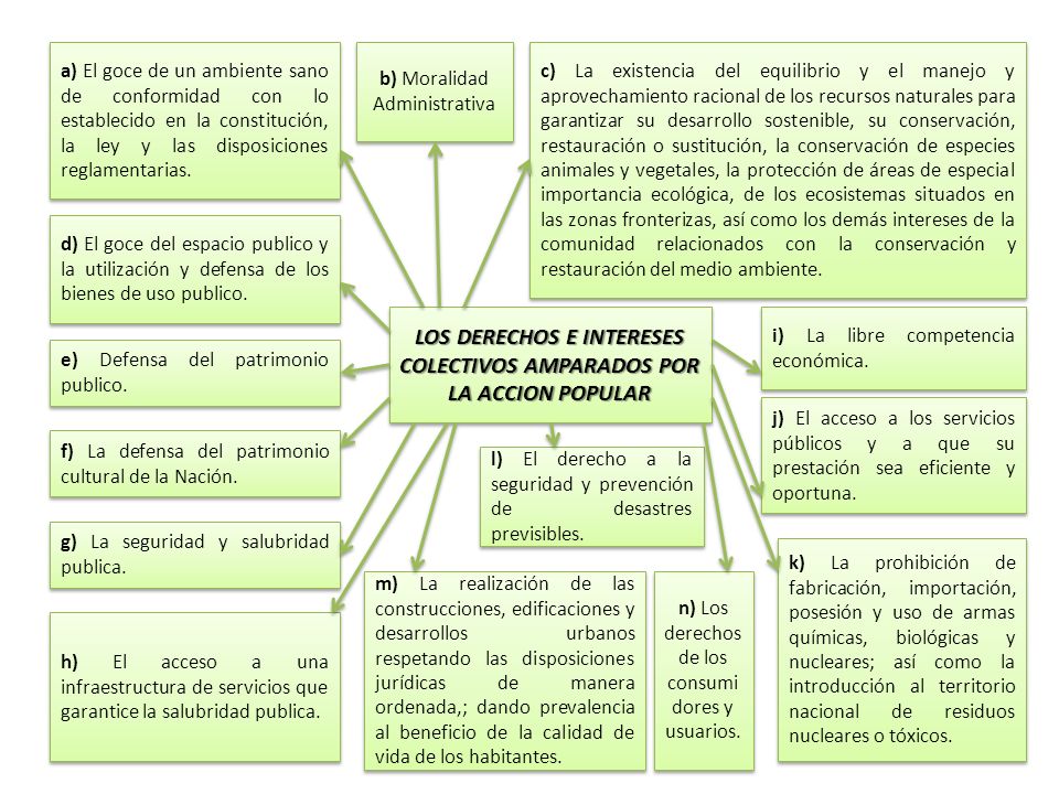 LOS DERECHOS E INTERESES COLECTIVOS AMPARADOS POR LA ACCION POPULAR