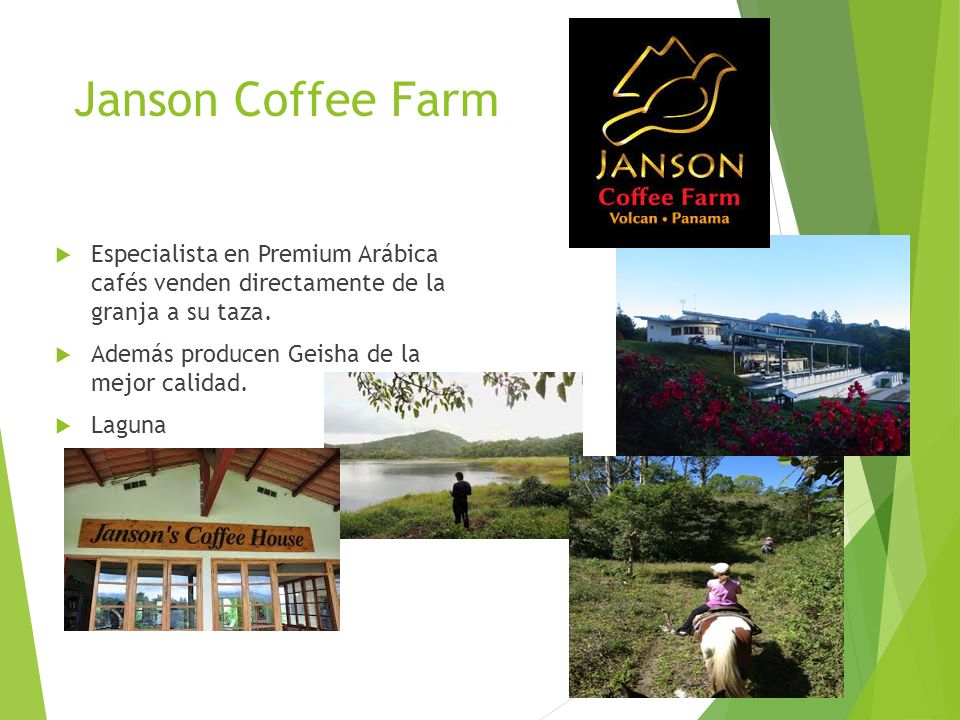 Janson Coffee Farm Especialista en Premium Arábica cafés venden directamente de la granja a su taza.
