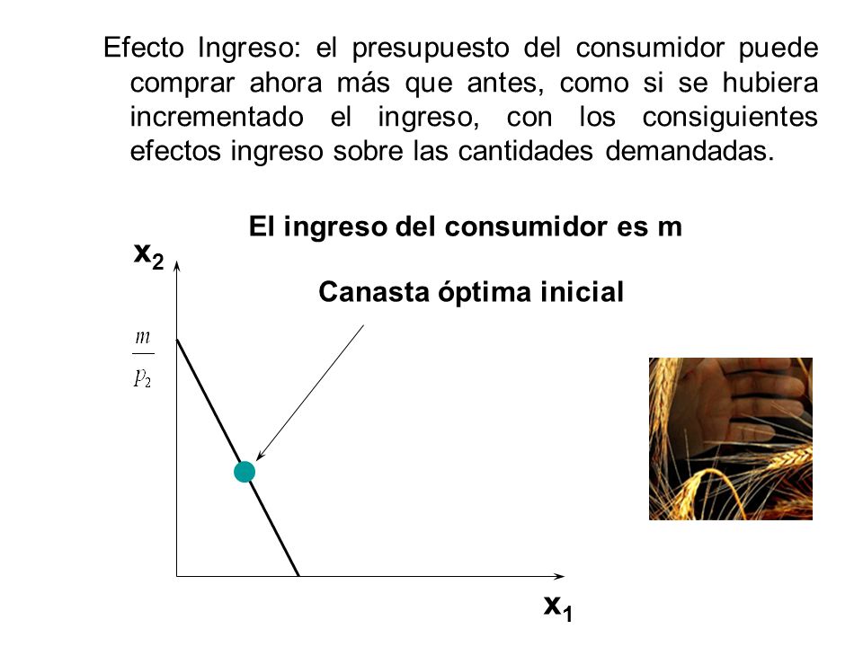 Efecto Ingreso: el presupuesto del consumidor puede comprar ahora más que antes, como si se hubiera incrementado el ingreso, con los consiguientes efectos ingreso sobre las cantidades demandadas.
