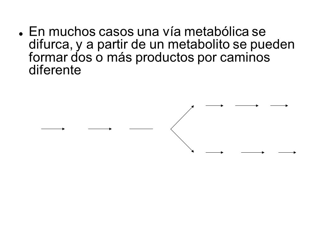 En muchos casos una vía metabólica se difurca, y a partir de un metabolito se pueden formar dos o más productos por caminos diferente