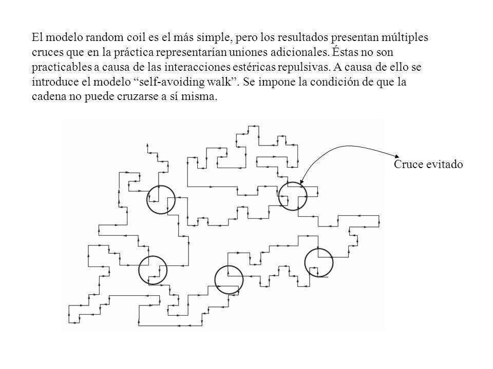 El modelo random coil es el más simple, pero los resultados presentan múltiples cruces que en la práctica representarían uniones adicionales. Éstas no son practicables a causa de las interacciones estéricas repulsivas. A causa de ello se introduce el modelo self-avoiding walk . Se impone la condición de que la cadena no puede cruzarse a sí misma.