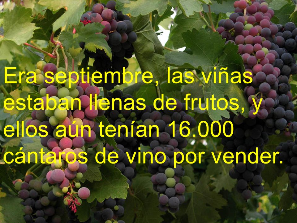 Era septiembre, las viñas estaban llenas de frutos, y ellos aún tenían cántaros de vino por vender.