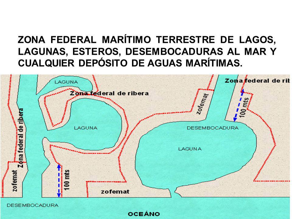 ZONA FEDERAL MARÍTIMO TERRESTRE DE LAGOS, LAGUNAS, ESTEROS, DESEMBOCADURAS AL MAR Y CUALQUIER DEPÓSITO DE AGUAS MARÍTIMAS.