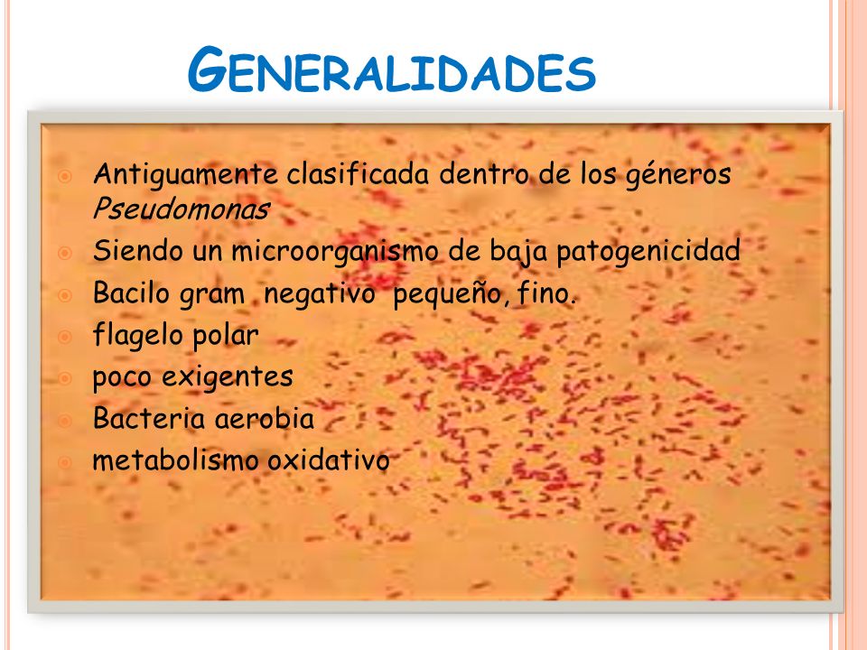 Generalidades Antiguamente clasificada dentro de los géneros Pseudomonas. Siendo un microorganismo de baja patogenicidad.