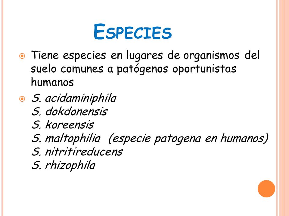 Especies Tiene especies en lugares de organismos del suelo comunes a patógenos oportunistas humanos.