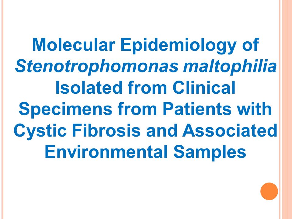 Molecular Epidemiology of Stenotrophomonas maltophilia Isolated from Clinical Specimens from Patients with Cystic Fibrosis and Associated Environmental Samples