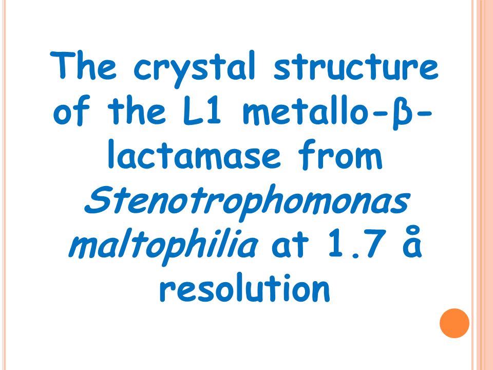 The crystal structure of the L1 metallo-β-lactamase from Stenotrophomonas maltophilia at 1.7 å resolution