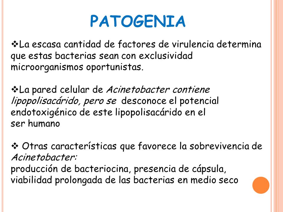 PATOGENIA La escasa cantidad de factores de virulencia determina que estas bacterias sean con exclusividad microorganismos oportunistas.