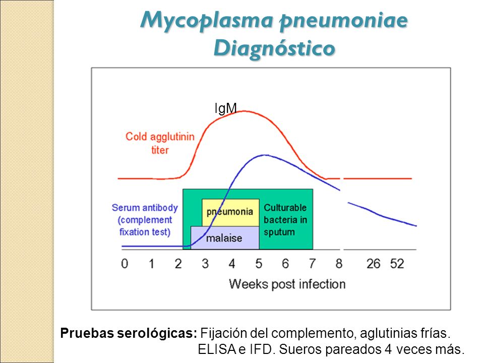 Mycoplasma pneumoniae Diagnóstico