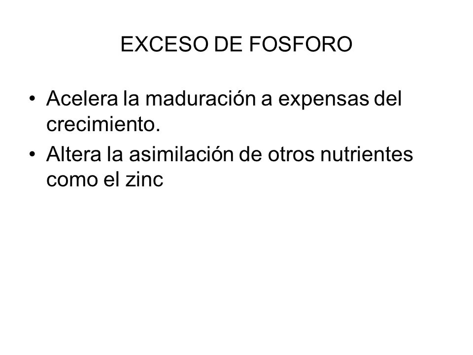 EXCESO DE FOSFORO Acelera la maduración a expensas del crecimiento.