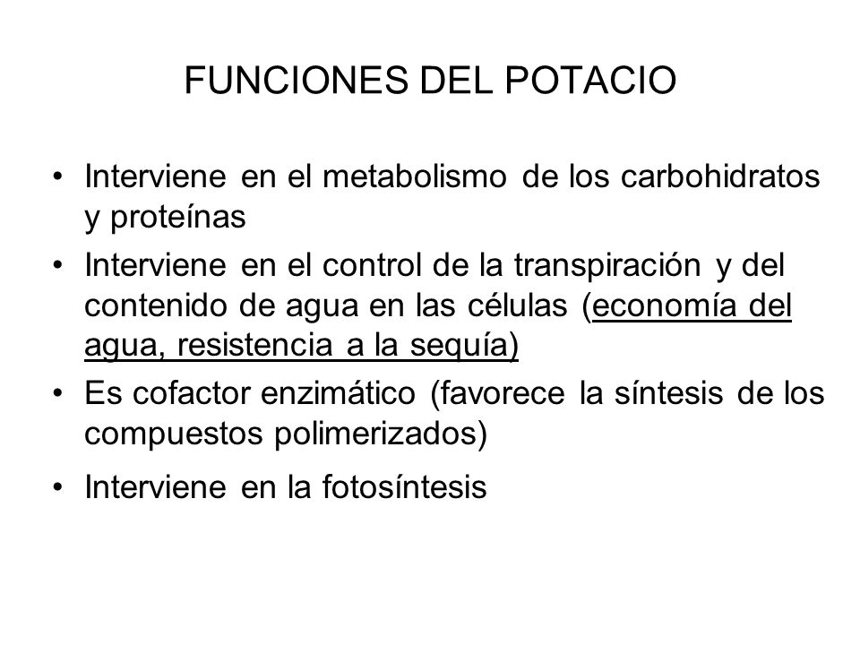 FUNCIONES DEL POTACIO Interviene en el metabolismo de los carbohidratos y proteínas.