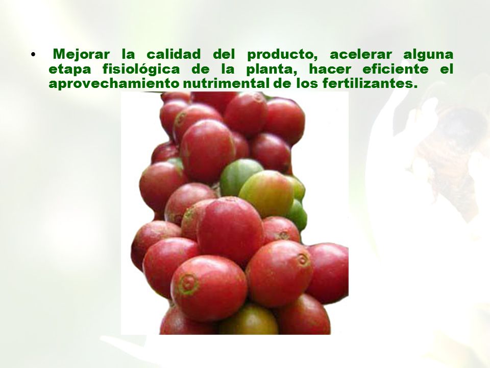 Mejorar la calidad del producto, acelerar alguna etapa fisiológica de la planta, hacer eficiente el aprovechamiento nutrimental de los fertilizantes.